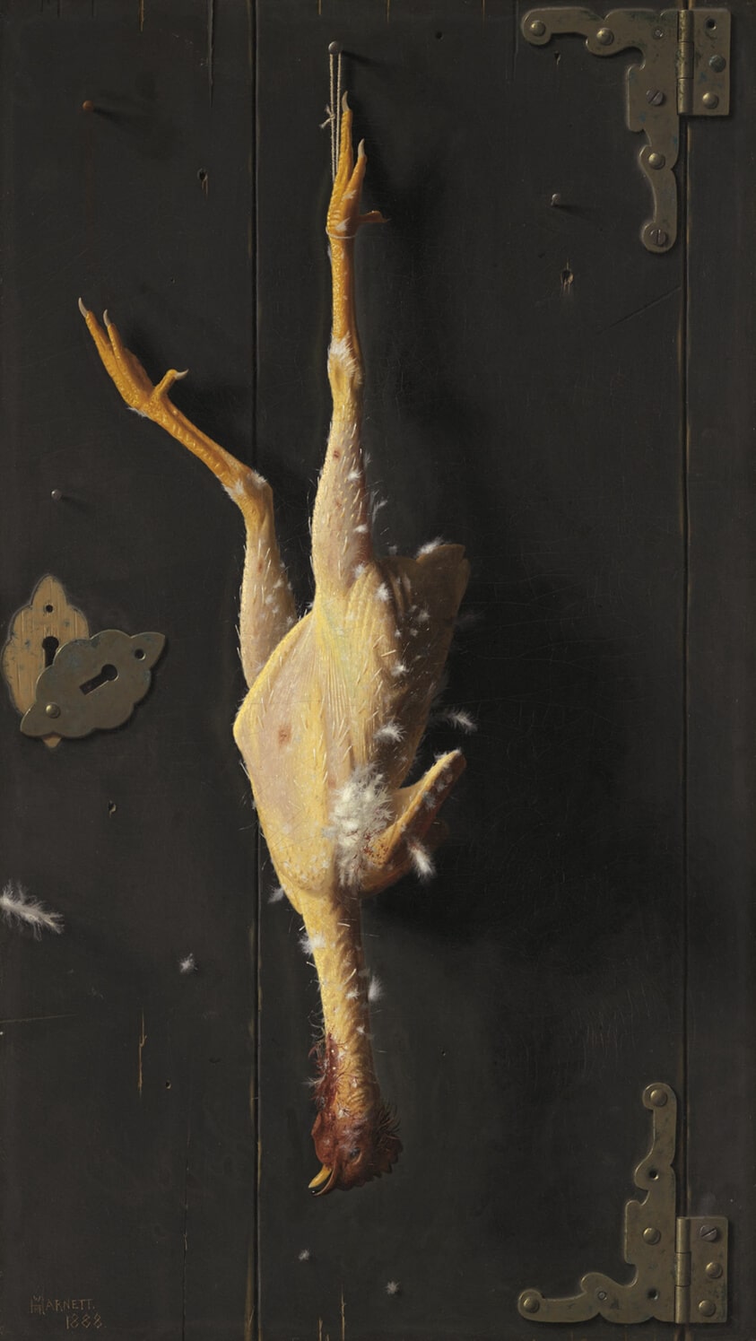 pollo-pintura
