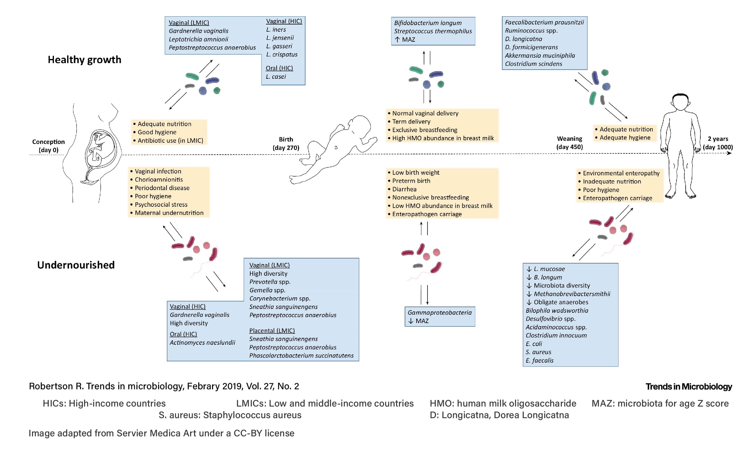 the-human-microbiome-and-child-growth-first-1000-days-and-beyondpiv3-min